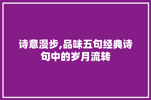 诗意漫步,品味五句经典诗句中的岁月流转 问答