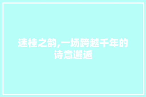 迷桂之韵,一场跨越千年的诗意邂逅