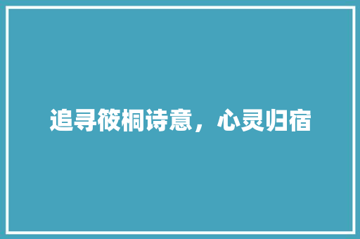 追寻筱桐诗意，心灵归宿