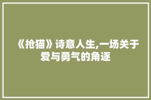 《抢猫》诗意人生,一场关于爱与勇气的角逐 汉字拼音