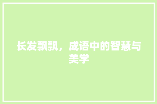 长发飘飘，成语中的智慧与美学 成语汇编
