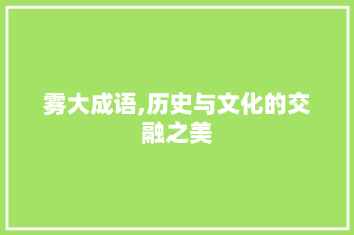 雾大成语,历史与文化的交融之美