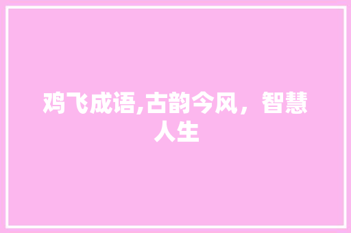 鸡飞成语,古韵今风，智慧人生 汉字拼音