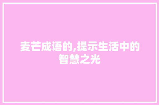 麦芒成语的,提示生活中的智慧之光 近义词汇