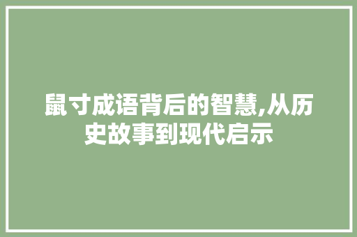 鼠寸成语背后的智慧,从历史故事到现代启示