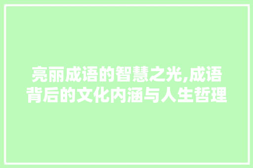 亮丽成语的智慧之光,成语背后的文化内涵与人生哲理