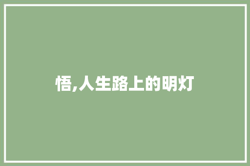 悟,人生路上的明灯