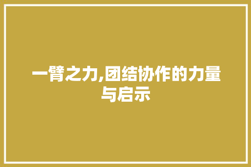 一臂之力,团结协作的力量与启示