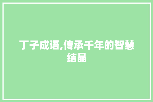 丁子成语,传承千年的智慧结晶 反义词汇
