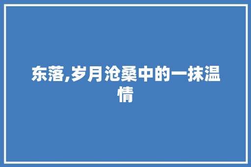 东落,岁月沧桑中的一抹温情