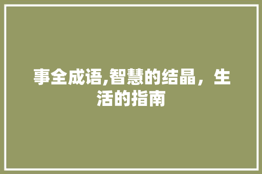 事全成语,智慧的结晶，生活的指南