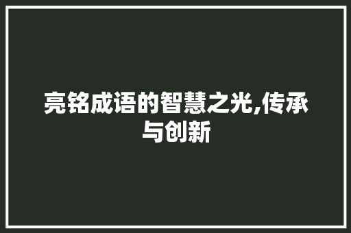 亮铭成语的智慧之光,传承与创新