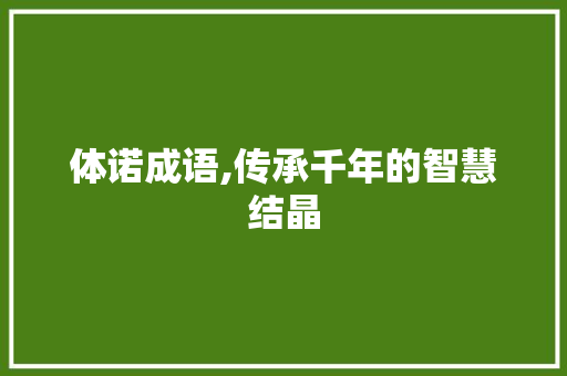 体诺成语,传承千年的智慧结晶 汉字拼音