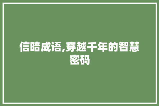 信暗成语,穿越千年的智慧密码 问答