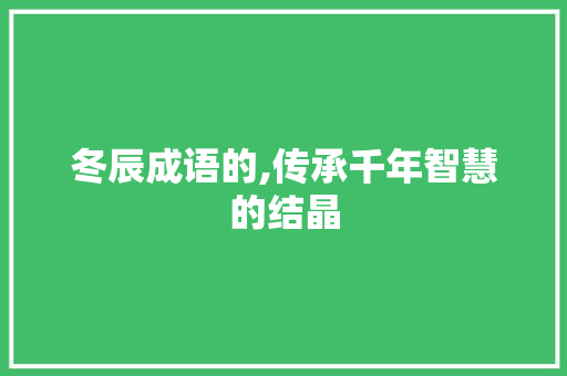 冬辰成语的,传承千年智慧的结晶