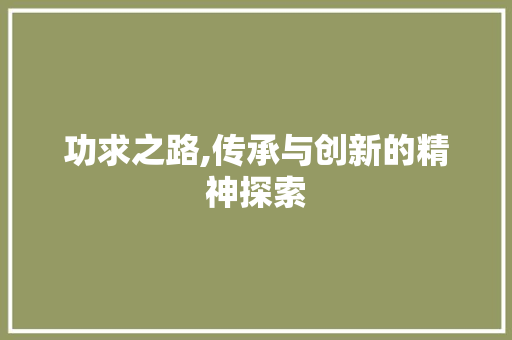 功求之路,传承与创新的精神探索