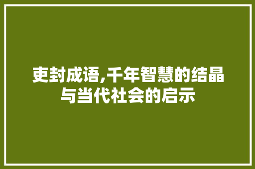 吏封成语,千年智慧的结晶与当代社会的启示