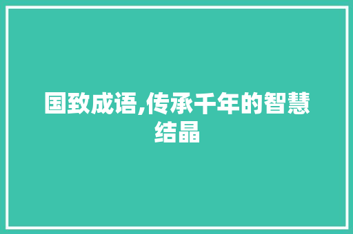 国致成语,传承千年的智慧结晶