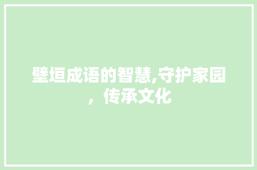 壁垣成语的智慧,守护家园，传承文化