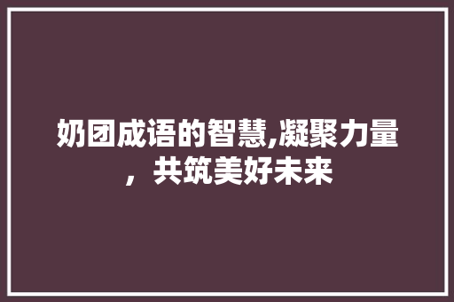 奶团成语的智慧,凝聚力量，共筑美好未来