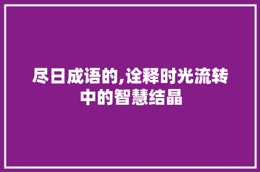 尽日成语的,诠释时光流转中的智慧结晶 近义词汇
