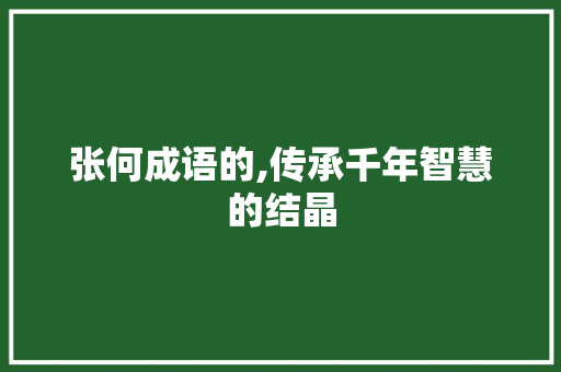 张何成语的,传承千年智慧的结晶