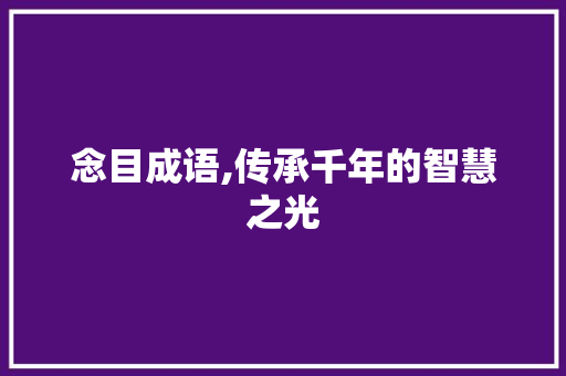念目成语,传承千年的智慧之光 反义词汇
