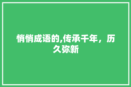 悄悄成语的,传承千年，历久弥新 英语单词