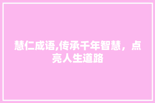 慧仁成语,传承千年智慧，点亮人生道路