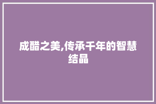 成醋之美,传承千年的智慧结晶 短语