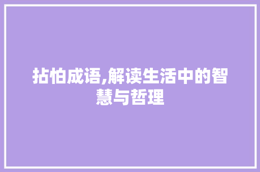 拈怕成语,解读生活中的智慧与哲理