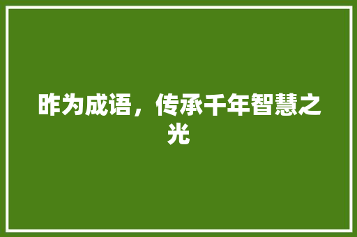 昨为成语，传承千年智慧之光