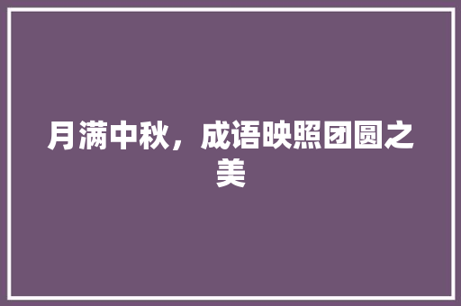 月满中秋，成语映照团圆之美