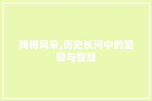 残将风采,历史长河中的坚韧与智慧