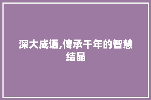 深大成语,传承千年的智慧结晶 英语单词