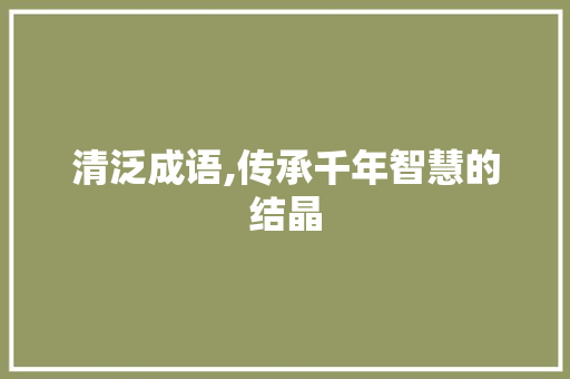 清泛成语,传承千年智慧的结晶