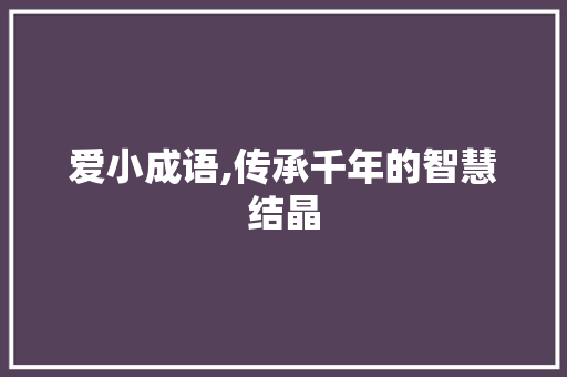 爱小成语,传承千年的智慧结晶