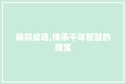 琳羽成语,传承千年智慧的瑰宝