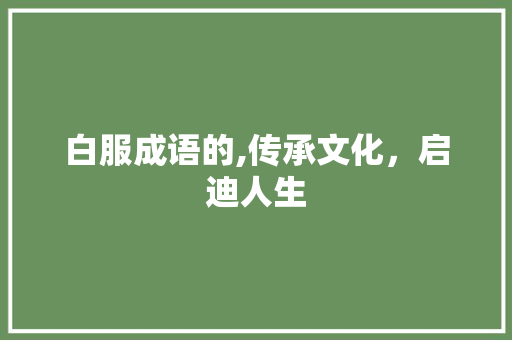白服成语的,传承文化，启迪人生