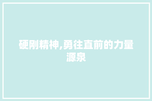 硬刚精神,勇往直前的力量源泉