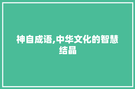 神自成语,中华文化的智慧结晶 近义词汇