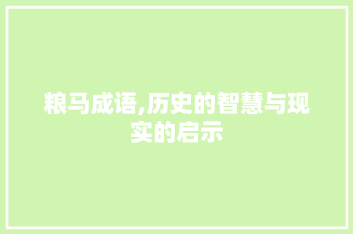 粮马成语,历史的智慧与现实的启示
