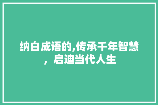 纳白成语的,传承千年智慧，启迪当代人生