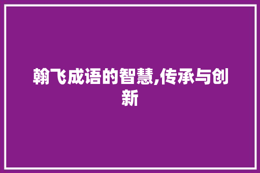 翰飞成语的智慧,传承与创新 短语