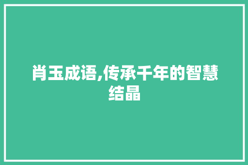肖玉成语,传承千年的智慧结晶 近义词汇