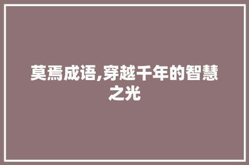 莫焉成语,穿越千年的智慧之光