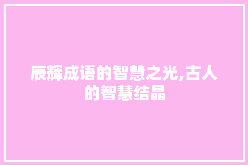 辰辉成语的智慧之光,古人的智慧结晶