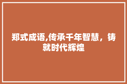郑式成语,传承千年智慧，铸就时代辉煌