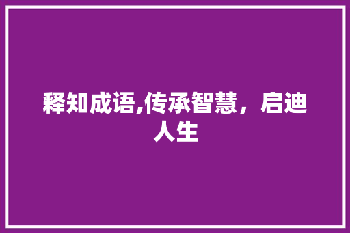 释知成语,传承智慧，启迪人生
