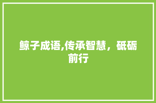 鲸子成语,传承智慧，砥砺前行